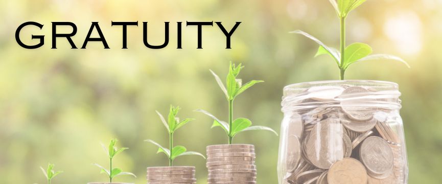 MakVik gratuity calculator