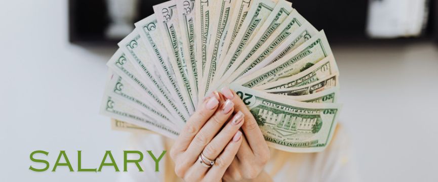 MakVik salary calculator